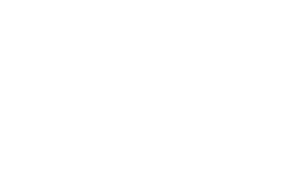 Soul Space Studios Logo